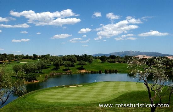 Panoramica Golf, Sports & Resorts